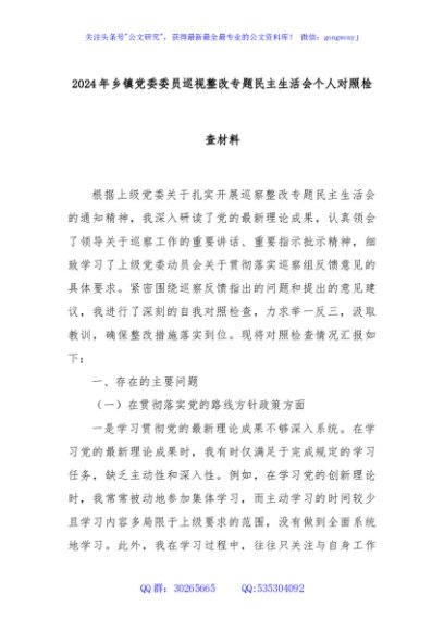 2024年乡镇党委委员巡视整改专题民主生活会个人对照检查材料
