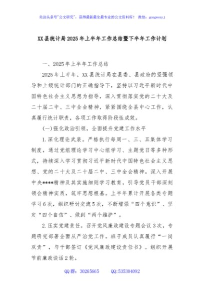 XX县统计局2025年上半年工作总结暨下半年工作计划