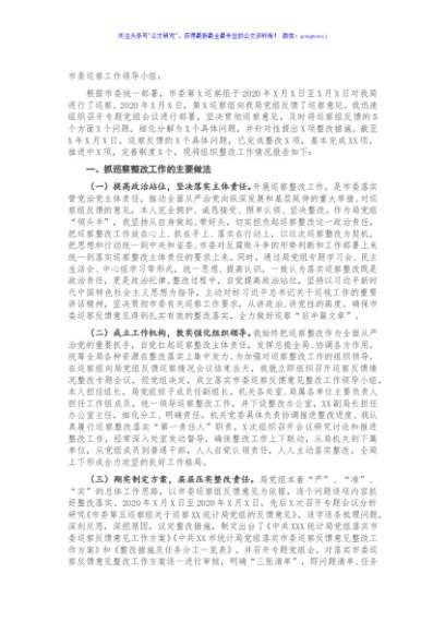 X市X局党组书记X同志组织落实市委巡察反馈意见整改工作报告