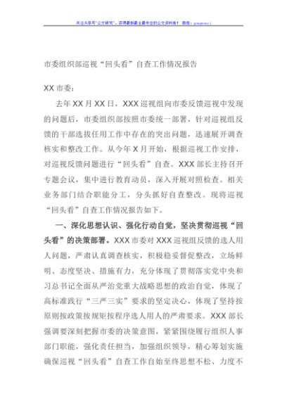 市委组织部巡视“回头看”自查工作情况报告
