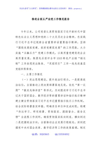 推进全面从严治党工作情况报告