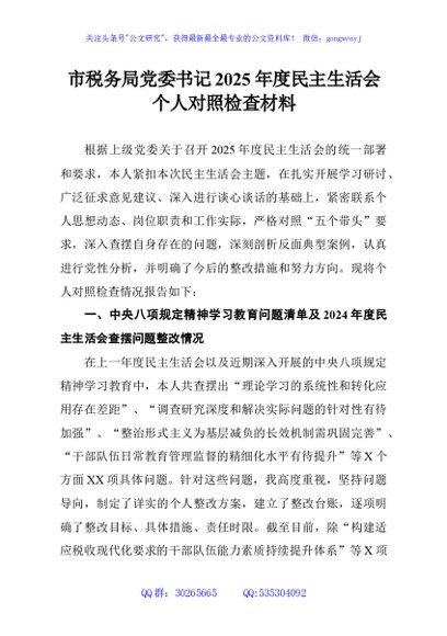 市税务局党委书记2025年度民主生活会个人对照检查材料