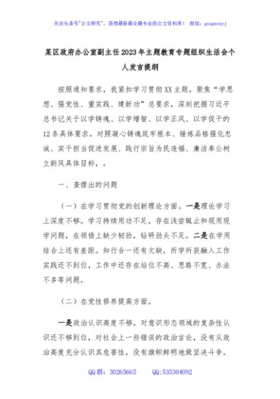 某区政府办公室副主任2023年主题教育专题组织生活会个人发言提纲