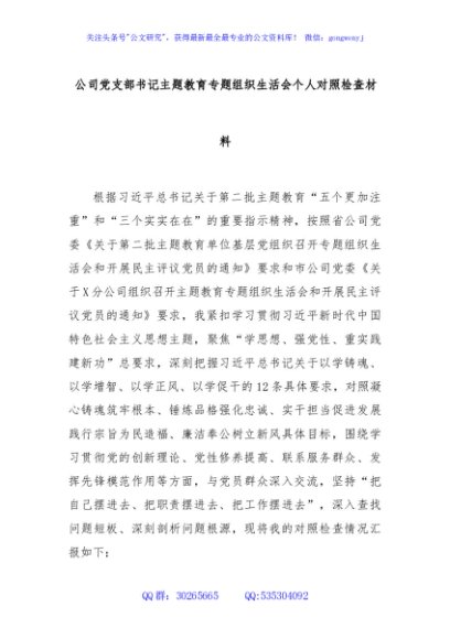 公司党支部书记主题教育专题组织生活会个人对照检查材料