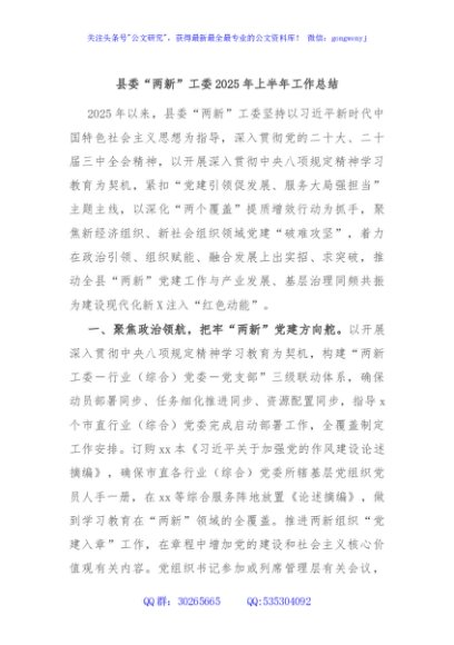 县委“两新”工委2025年上半年工作总结