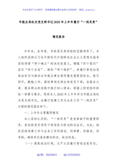 市就业局机关党支部书记2025年上半年履行“一岗双责”情况报告