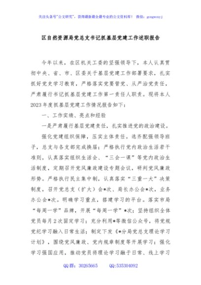 区自然资源局党总支书记抓基层党建工作述职报告