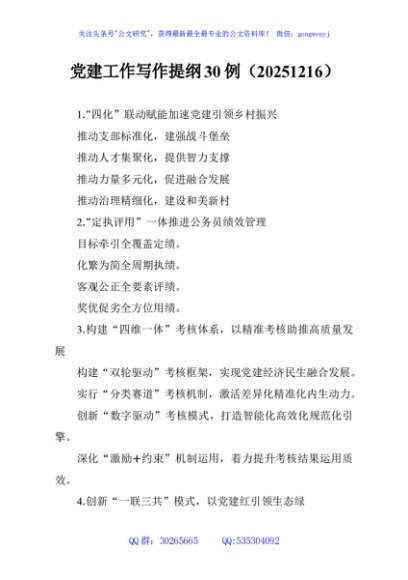 党建工作写作提纲30例（20251216）