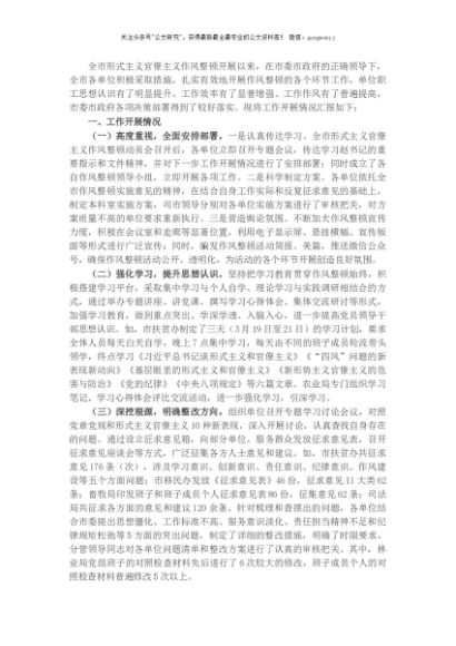 全市形式主义官僚主义作风整顿工作总结
