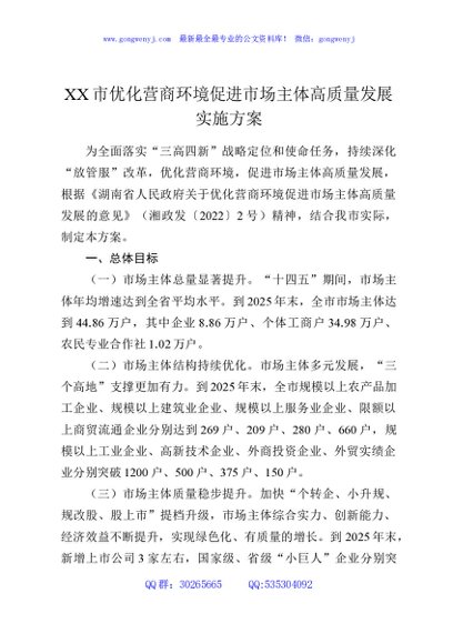 XX市优化营商环境促进市场主体高质量发展实施方案