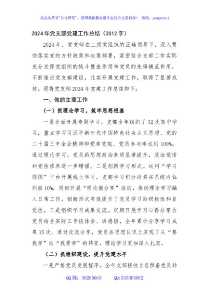 2024年党支部党建工作总结（2012字）