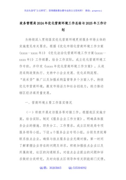 政务管理局2024年优化营商环境工作总结与2025年工作计划