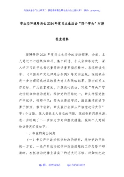 市生态环境局局长2024年度民主生活会“四个带头”对照检查材料