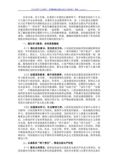 市人民政府党组述责述廉报告