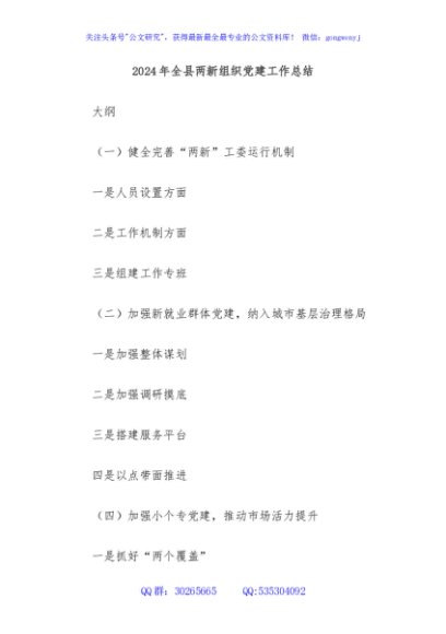 2024年全县两新组织党建工作总结