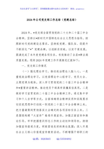 2024年公司党支部工作总结（党建总结）