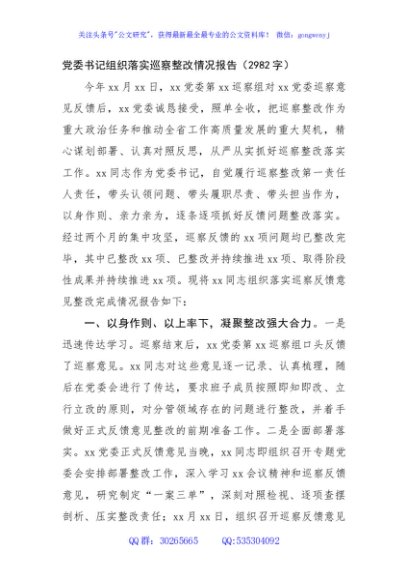 党委书记组织落实巡察整改情况报告（2982字）