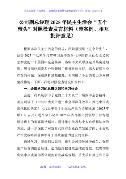 公司副总经理2025年民主生活会“五个带头”对照检查发言材料（带案例、相互批评意见）