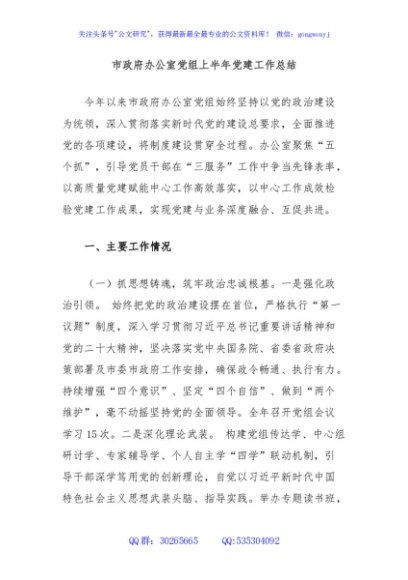市政府办公室党组上半年党建工作总结