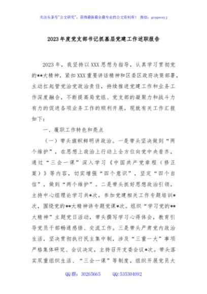 2023年度党支部书记抓基层党建工作述职报告