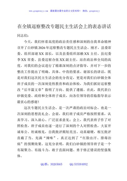 在全镇巡察整改专题民主生活会上的表态讲话