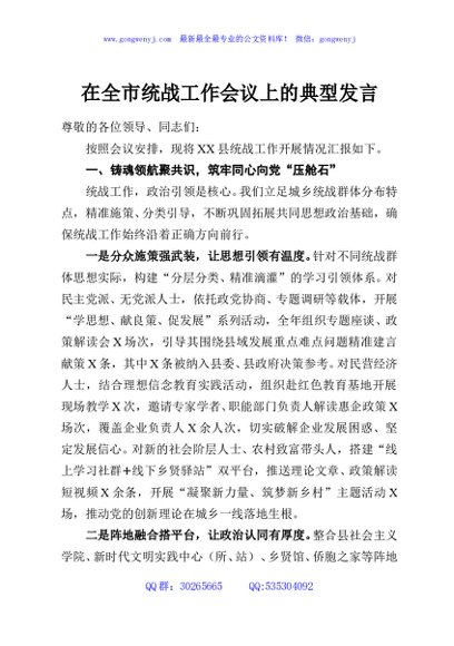 在全市统战工作会议上的典型发言