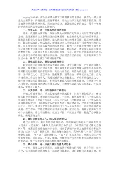 乡镇党委书记年度述法报告