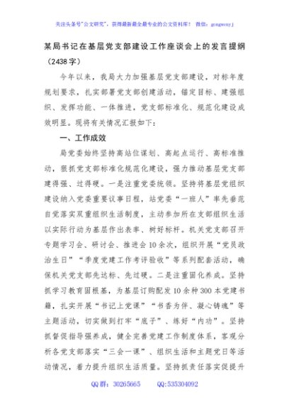 某局书记在基层党支部建设工作座谈会上的发言提纲（2438字） (1)