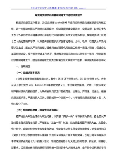 煤炭党支部书记抓基层党建工作述职报告范文