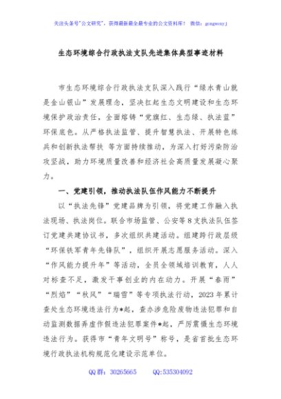 生态环境综合行政执法支队先进集体典型事迹材料
