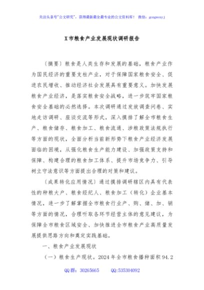 X市粮食产业发展现状调研报告