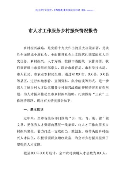 市人才服务乡村振兴战略情况报告