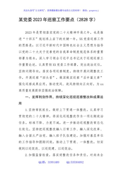 某党委2023年巡察工作要点