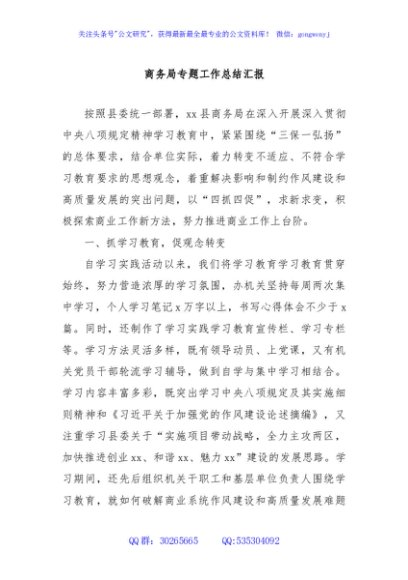 商务局专题工作总结汇报