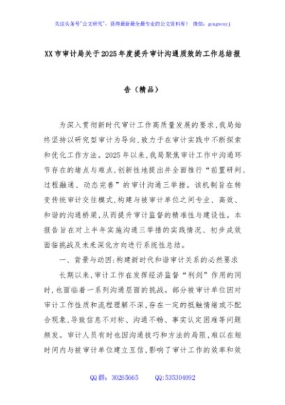 XX市审计局关于2025年度提升审计沟通质效的工作总结报告（精品）