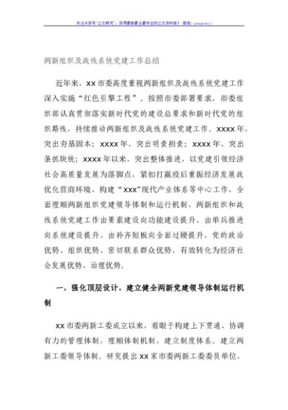 两新组织及战线系统党建工作总结