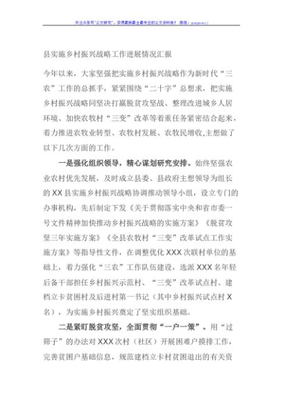县实施乡村振兴战略工作进展情况汇报