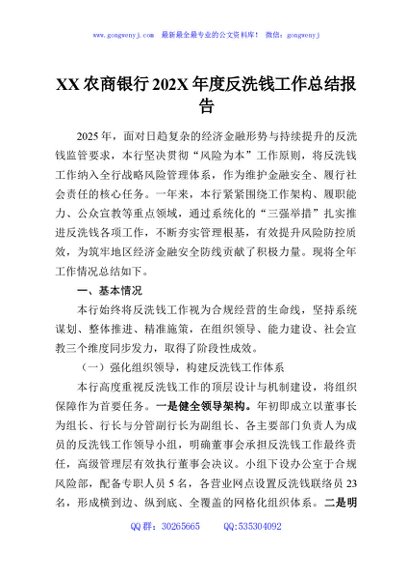 XX农商银行202X年度反洗钱工作总结报告