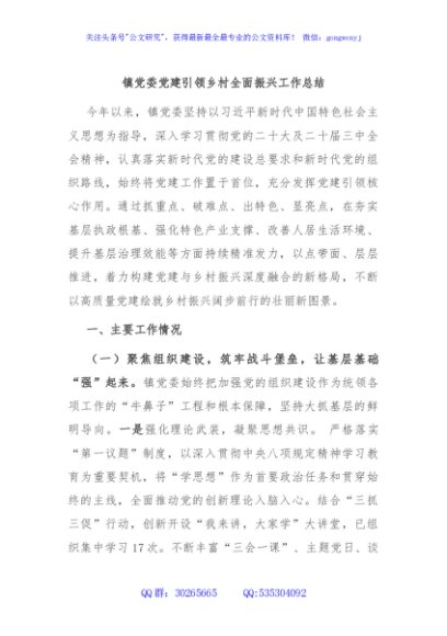 镇党委党建引领乡村全面振兴工作总结
