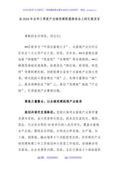 在2024年全市三季度产业链党建联盟推进会上的汇报发言
