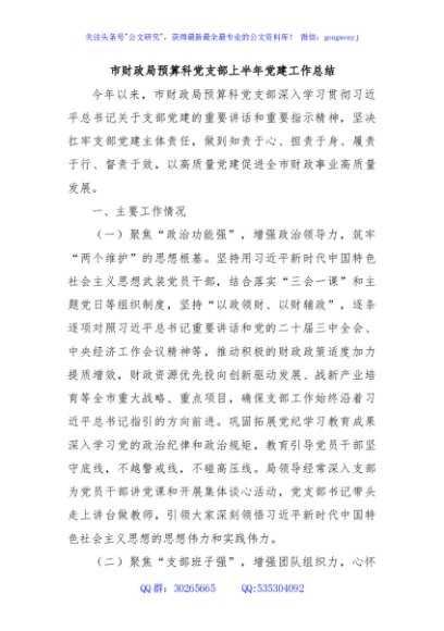 市财政局预算科党支部上半年党建工作总结