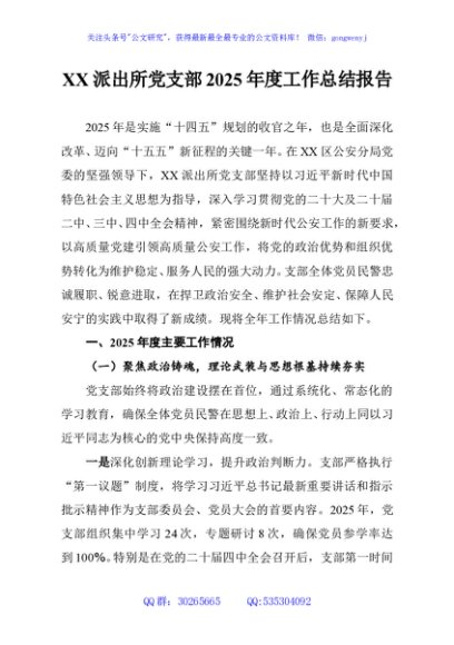 XX派出所党支部2025年度工作总结报告