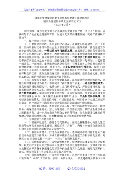 2023年度镇非公党建指导站党支部抓基层党建工作述职报告