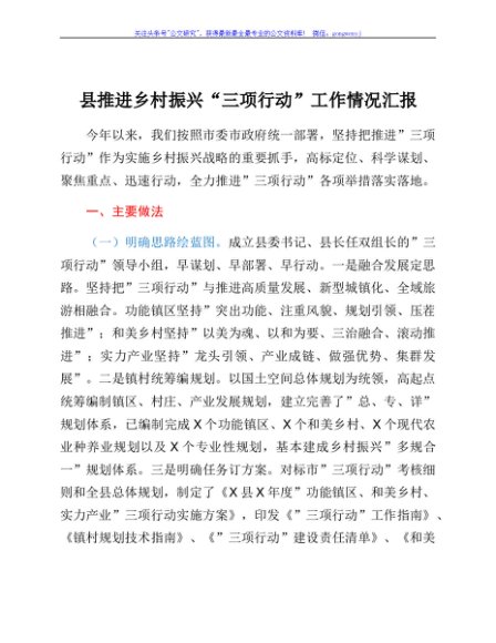 县推进乡村振兴“三项行动”工作情况汇报