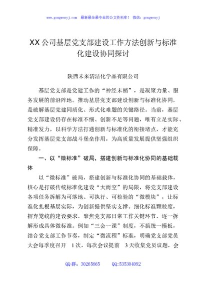 XX公司基层党支部建设工作方法创新与标准化建设协同探讨