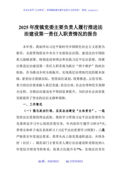 2025年度镇党委主要负责人履行推进法治建设第一责任人职责情况的报告
