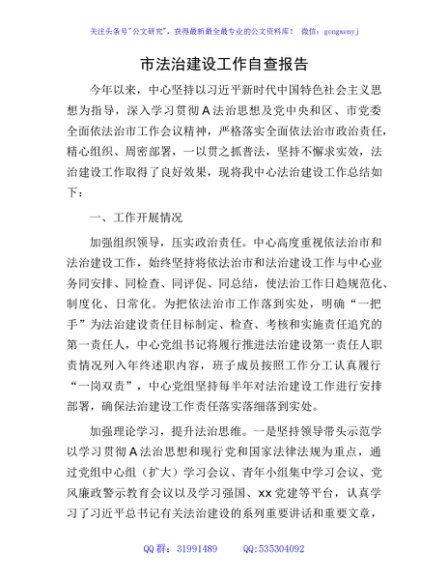 市法治建设工作自查报告