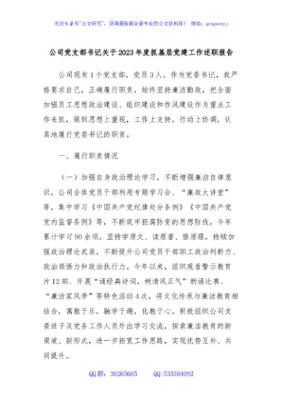 公司党支部书记关于2023年度抓基层党建工作述职报告